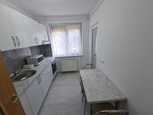 Kuchyň nebo kuchyňský kout v ubytování Apartament Ultra Central 3