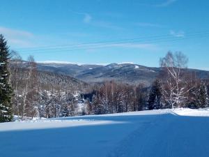 Obiekt Apartmán Stodola1 Harrachov zimą