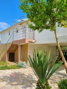 a house with a palm tree in front of it at Apartments Šešo in Pag