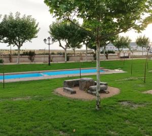 a park with a tree next to a pool at CASA SIETE LAGOS in Sinlabajos