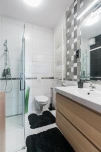 een badkamer met een wastafel en een toilet bij Downtown Penthouse Budapest in Boedapest