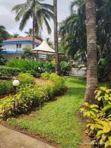 een tuin met palmbomen en een gebouw met een tent bij ARY Royal Palms - 1 BHK in Benaulim