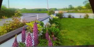 Zahrada ubytování Cozy Cottage Retreat in Listowel pet friend