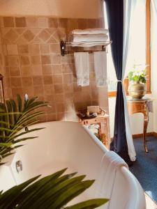 uma banheira na casa de banho com uma planta em Holiday home Haras du Ry em Brévands