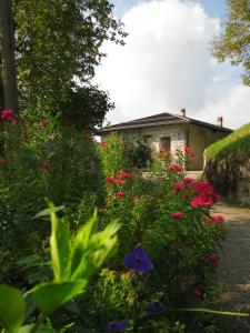 un giardino fiorito di fronte a un edificio di Holiday home Maso Mersi a Castello Tesino