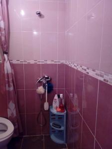 y baño con ducha, aseo y lavamanos. en Veličanka, en Ulcinj