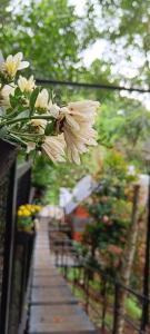 蒙納的住宿－Santhi Hill View Resort，挂在栅栏上的一束白色花