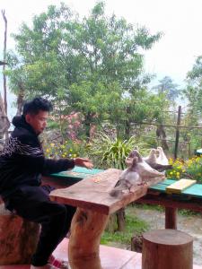 un hombre sentado en una mesa de picnic con un pájaro en ella en H'mông cổ trấn sapa homestay, en Sa Pa