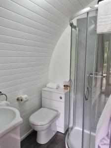 a white bathroom with a toilet and a shower at Pear Tree Inn Whitley in Whitley