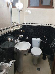 a bathroom with a toilet and a sink and a mirror at Guest House Fedor in Ribarica