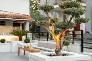 a tree in a planter with a couch and a table at Villa Chrisanthi in Leptokaria