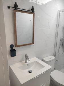 bagno con lavandino, servizi igienici e specchio di LOFT LA CASITA a Almería