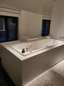 Photo de la galerie de l'établissement Gezellige moderne woning met zwemvijver, à Halle