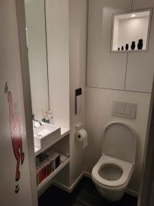 La petite salle de bains est pourvue de toilettes et d'un lavabo. dans l'établissement Gezellige moderne woning met zwemvijver, à Halle