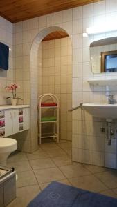 een badkamer met een wastafel en een toilet bij Haus Hubertusheim in Schladming