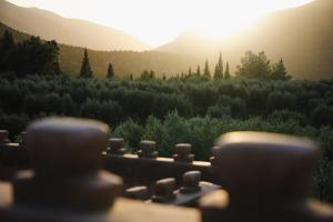 une vue sur un champ avec le soleil en arrière-plan dans l'établissement Olinto, Atlas Mountain Retreat - adults only, à Ouirgane