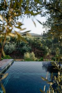 una piscina en un jardín con vistas a un bosque en Olinto, Atlas Mountain Retreat - adults only en Ouirgane