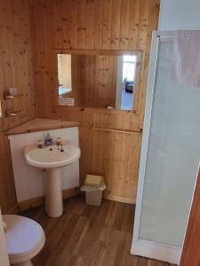 a bathroom with a sink and a toilet at Cleveland Court Apartments in Blackpool
