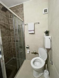 a bathroom with a toilet and a glass shower at Apartment Vrbisao in Cetinje +21 photos