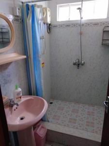 a bathroom with a sink and a shower at Ken Villa in Quatre Bornes