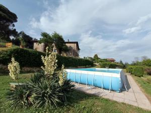 a blue swimming pool in a yard next to a house at Il Silenzio in Lucca