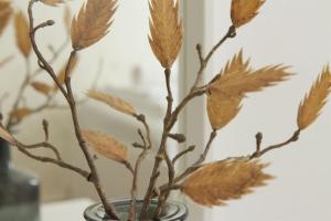 ウィーンにあるホテル ペンション アルピの乾葉花瓶