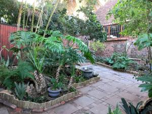 a garden with a bunch of plants in pots at Lazy Days Apartments - Jeffreys Bay in Jeffreys Bay