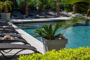 a pool with chairs and a palm tree in a resort at GOLDEN TULIP CANNES HOTEL de PARIS in Cannes