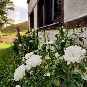 Zahrada ubytování Le Clos du Cerf - Le Sous-bois