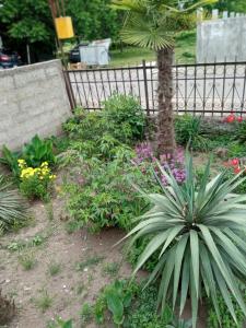 Giardino di Likas haus
