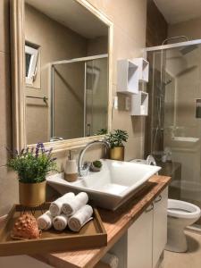 a bathroom with a sink and a mirror and a toilet at Family Apartment in Župa