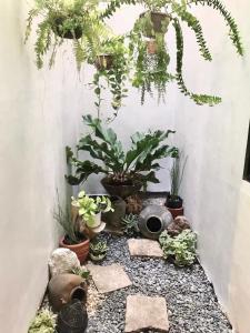 um jardim com vasos de plantas e rochas em Nord House Laoag em Laoag