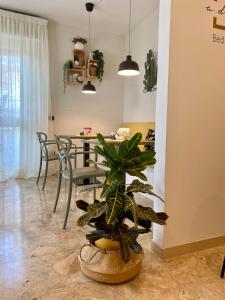 Fotografie z fotogalerie ubytování A Due Passi B&B v destinaci Citta' Sant'Angelo