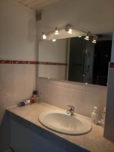 um balcão de casa de banho com um lavatório e um espelho em Elen em Goliševa