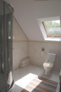a bathroom with a toilet and a window at Apartament Vistula in Wisła