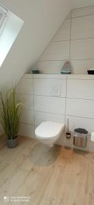 ein Bad mit einem weißen WC in einem Zimmer in der Unterkunft Apartmenthaus Westerkoog in Hedwigenkoog