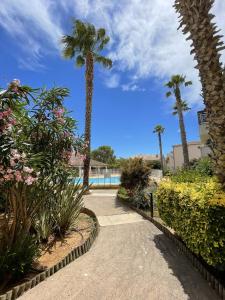 a walkway with palm trees and a swimming pool at Sol-y-Days Mayflower, Appartements bien équipés et climatisés, résidence avec piscine in Le Grau-du-Roi