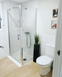 La salle de bains blanche est pourvue d'une douche et de toilettes. dans l'établissement Laurel No5, à Logroño