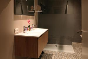 a bathroom with a sink and a shower at vakantiehuis-oyenkerke 2 in De Panne