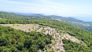 an aerial view of a hill with trees and houses at Holiday Home Zule in Žrnovo