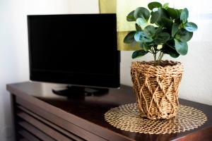 a vase with a plant on a table next to a tv at Apartment Alkar in Sinj