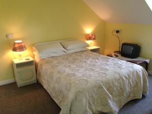 Postel nebo postele na pokoji v ubytování An Gleann Accommodation + 5 fotografií