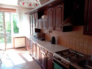 Η κουζίνα ή μικρή κουζίνα στο Villa Kornelka