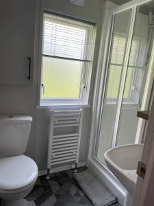 a bathroom with a toilet and a sink and a window at The Astoria in Dunoon