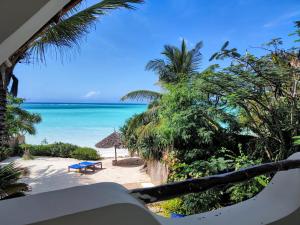 Blick auf einen Strand mit einer blauen Bank und das Meer in der Unterkunft The Zanzibari in Nungwi