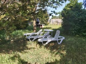 un groupe de chaises longues et d'une table dans l'herbe dans l'établissement Casa chalet en el campo, à Barbadillo