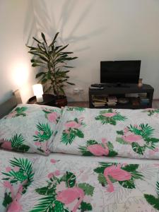 TV a/nebo společenská místnost v ubytování Przy Rynku