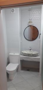een badkamer met een wastafel, een toilet en een spiegel bij sharing apartment kutaisi in Koetaisi