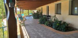 a porch of a house with a patio with plants at Agriturismo Funtan'Arva in Loculi