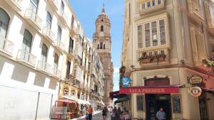 Widok na miasto Malaga z tego apartamentu